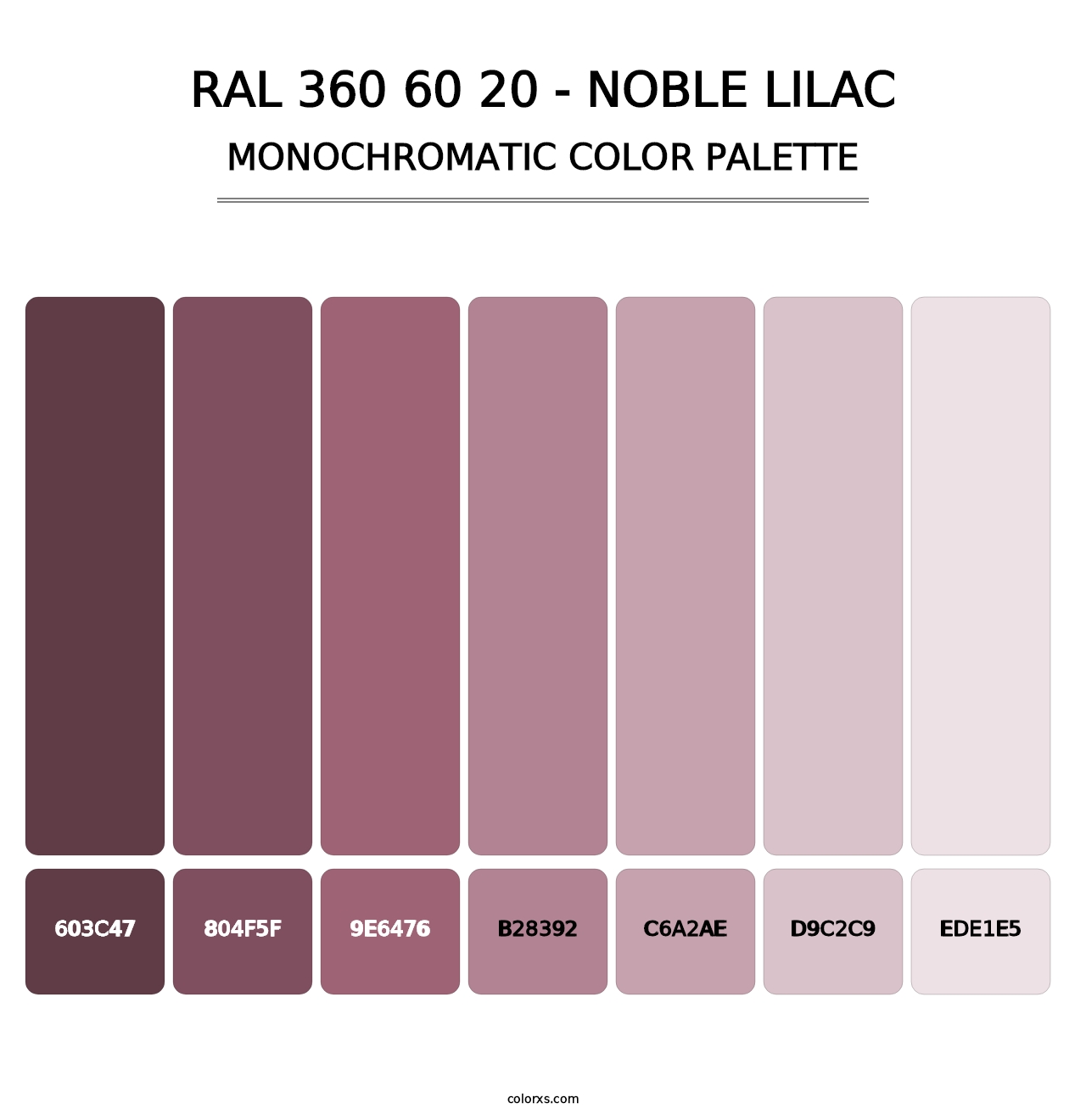 RAL 360 60 20 - Noble Lilac - Monochromatic Color Palette
