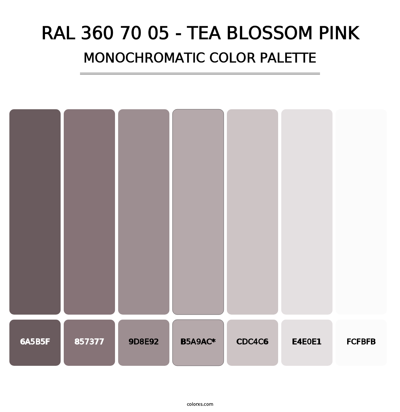 RAL 360 70 05 - Tea Blossom Pink - Monochromatic Color Palette