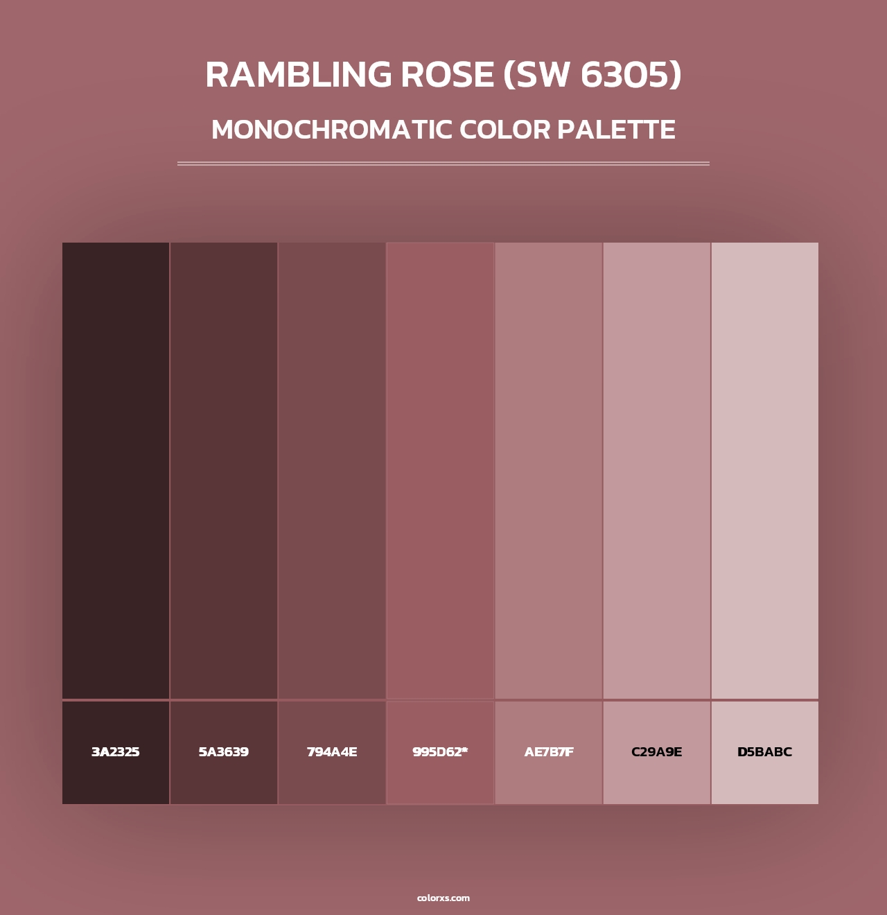 Rambling Rose (SW 6305) - Monochromatic Color Palette