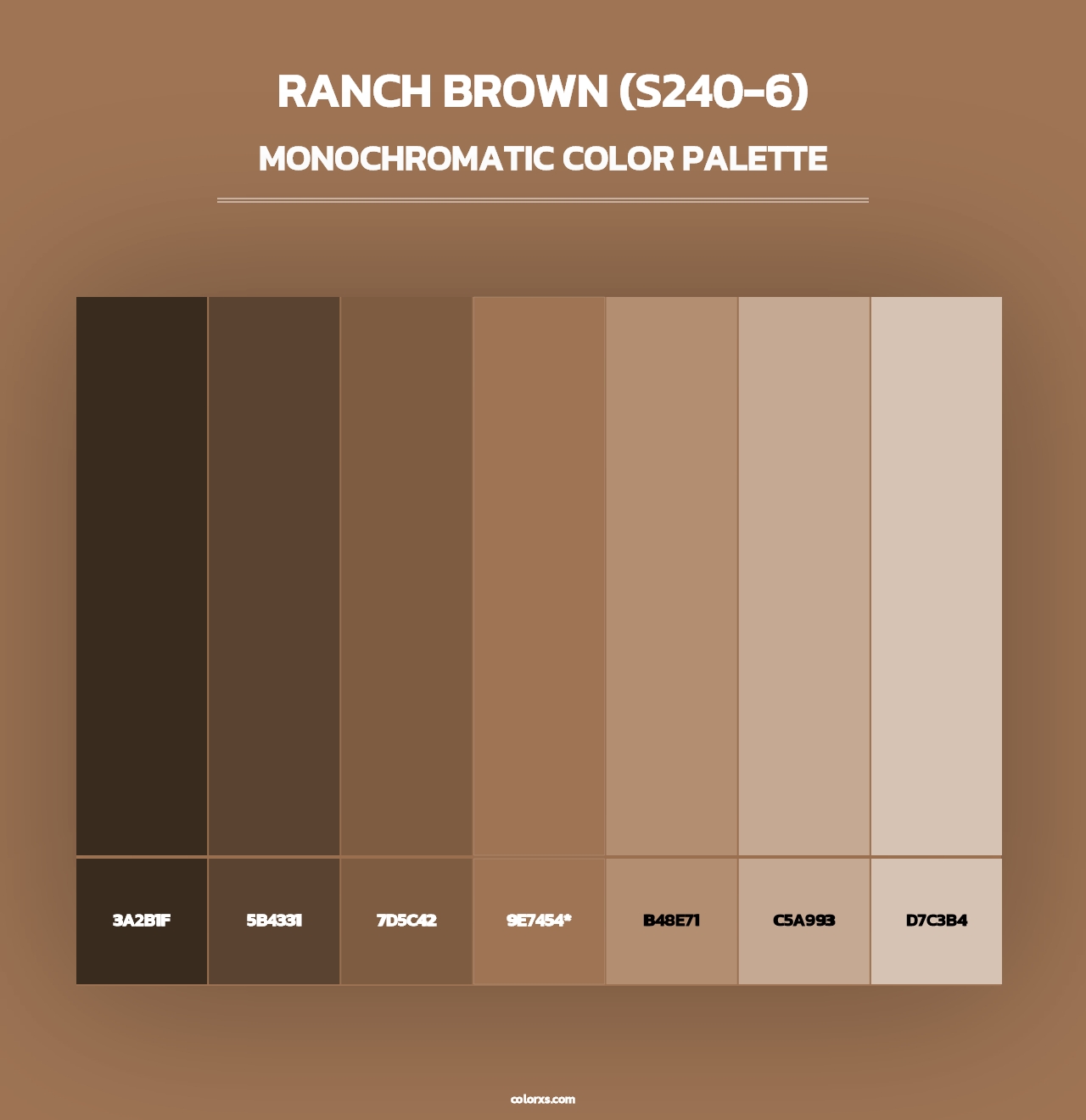 Ranch Brown (S240-6) - Monochromatic Color Palette