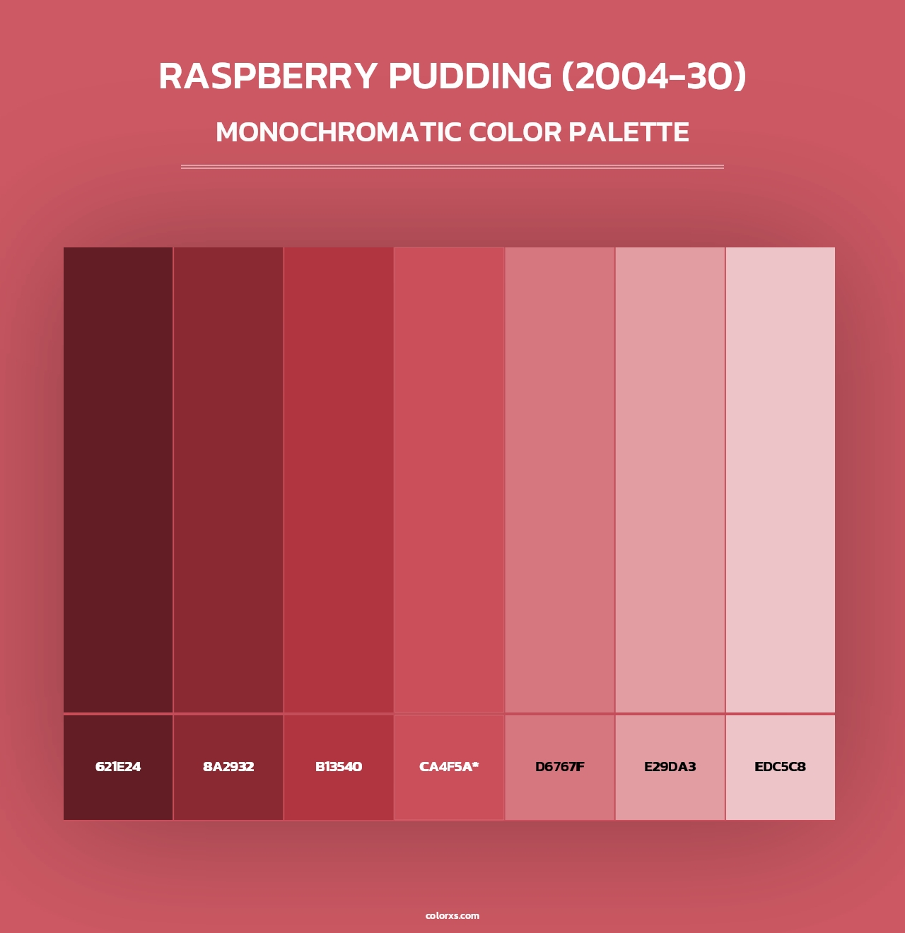 Raspberry Pudding (2004-30) - Monochromatic Color Palette