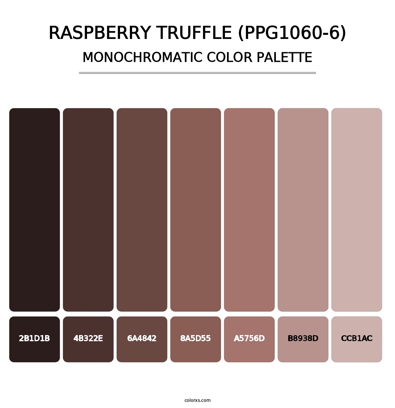 Raspberry Truffle (PPG1060-6) - Monochromatic Color Palette