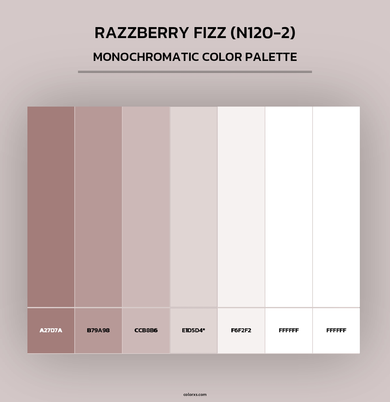 Razzberry Fizz (N120-2) - Monochromatic Color Palette