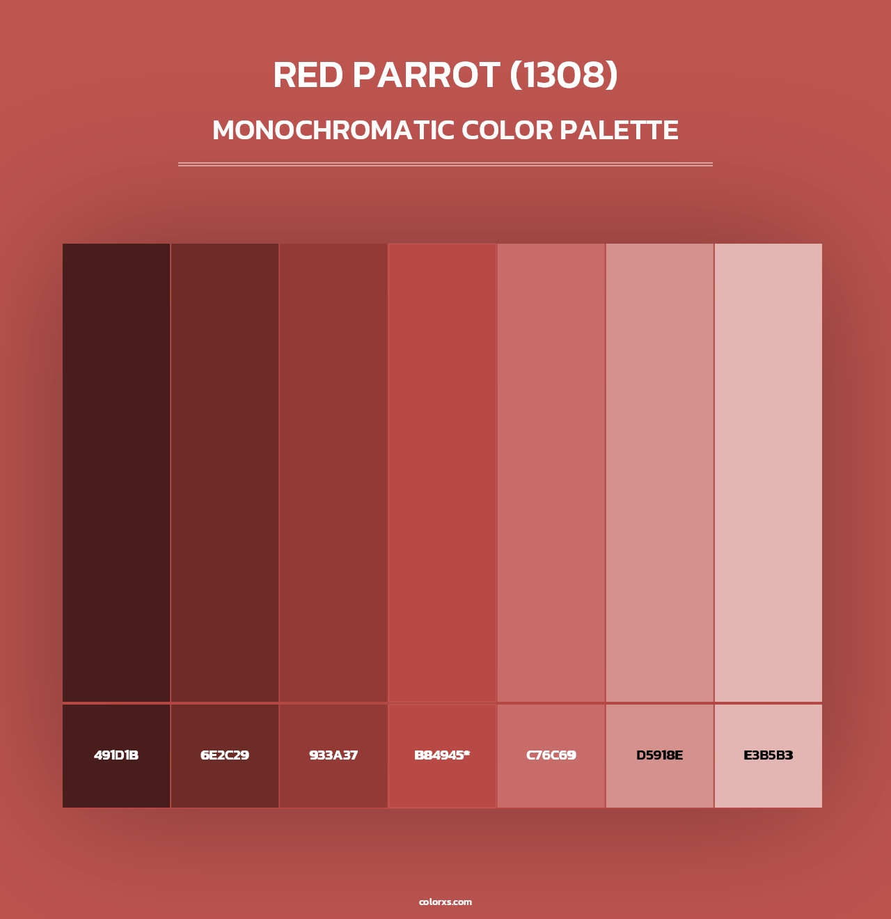 Red Parrot (1308) - Monochromatic Color Palette