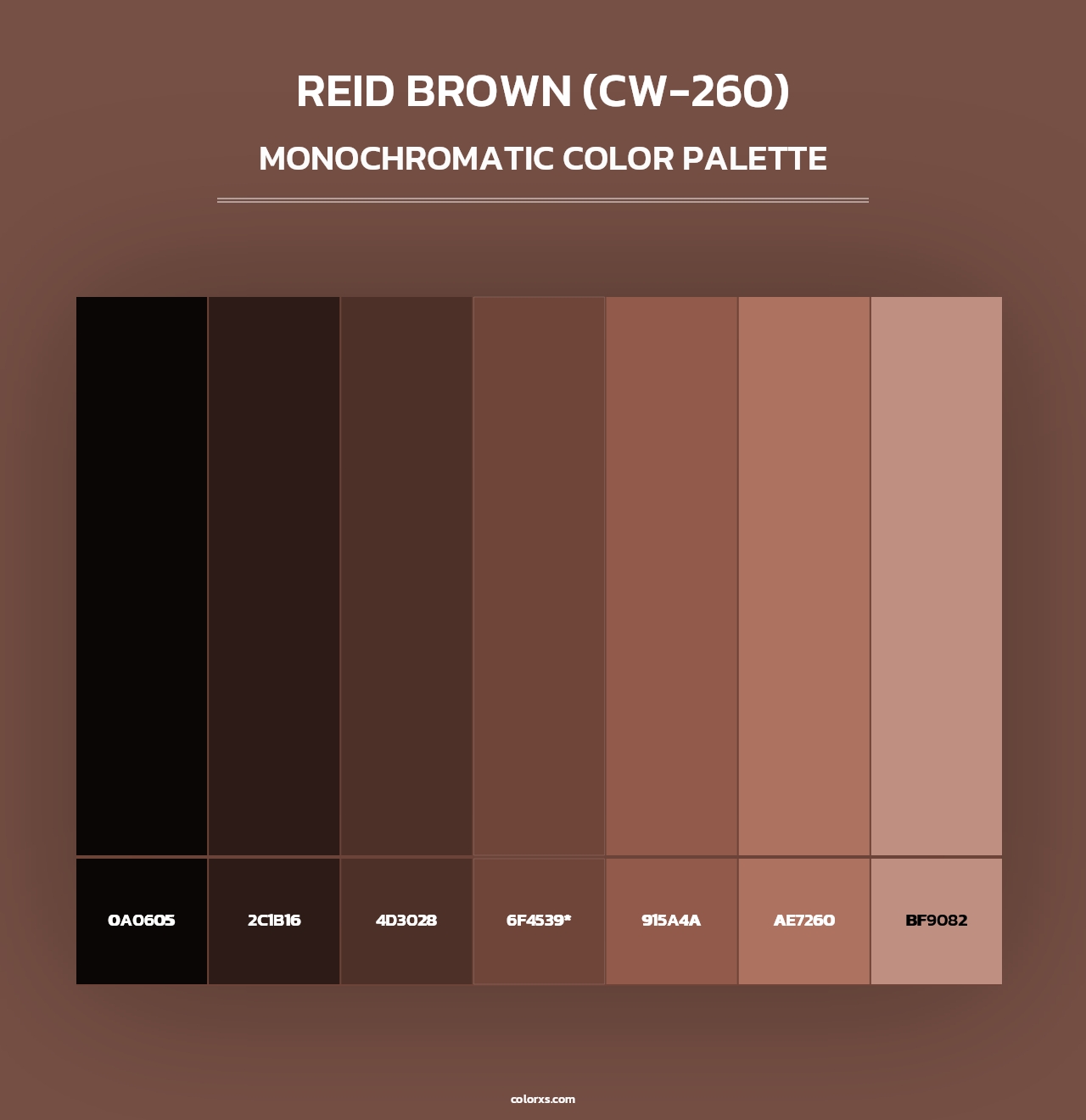 Reid Brown (CW-260) - Monochromatic Color Palette