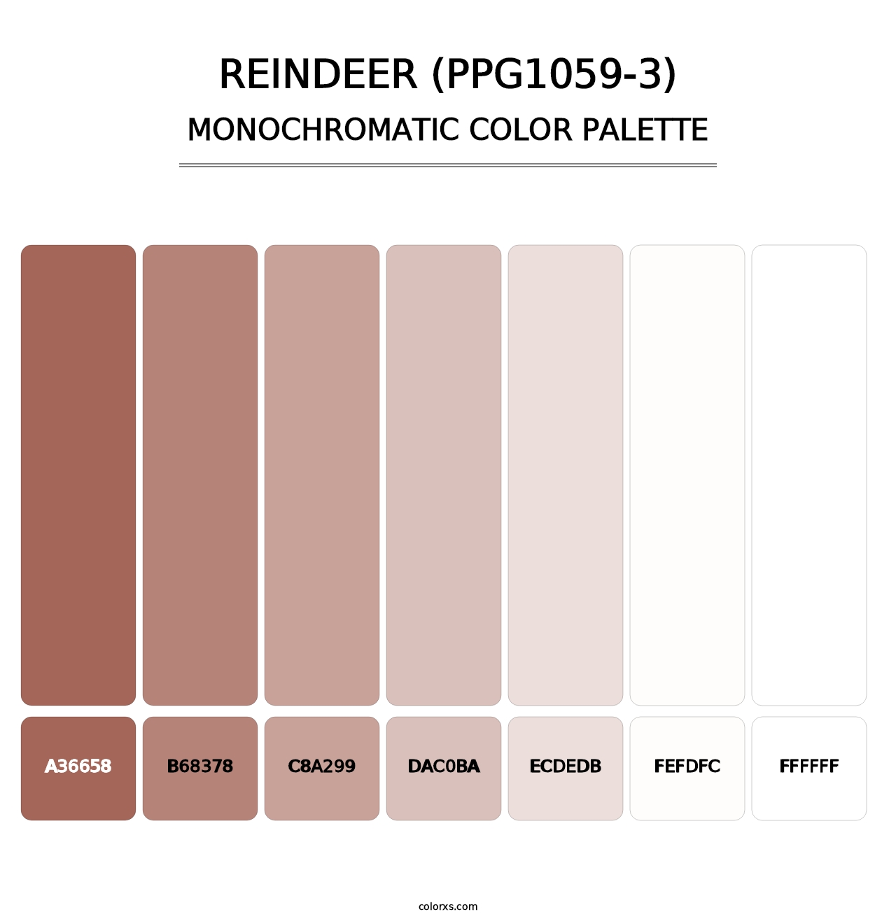 Reindeer (PPG1059-3) - Monochromatic Color Palette