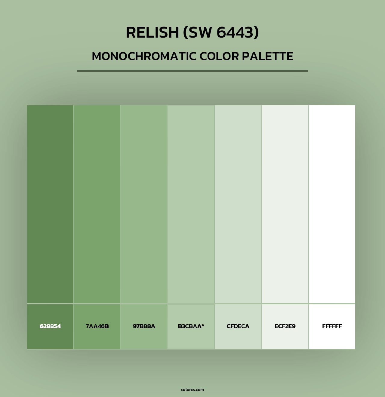 Relish (SW 6443) - Monochromatic Color Palette