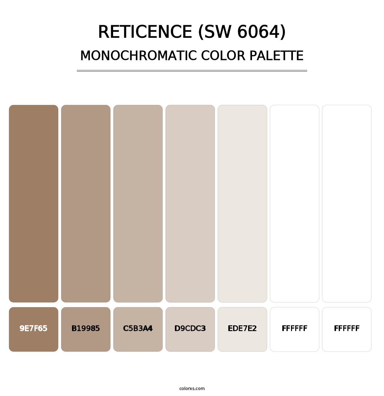 Reticence (SW 6064) - Monochromatic Color Palette