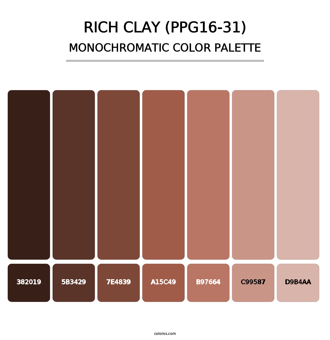 Rich Clay (PPG16-31) - Monochromatic Color Palette