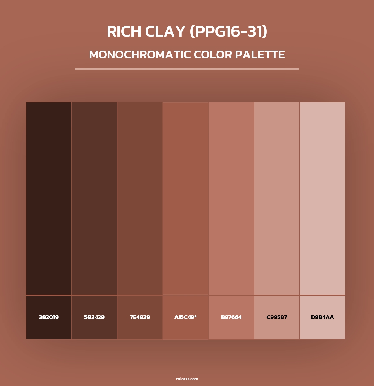 Rich Clay (PPG16-31) - Monochromatic Color Palette