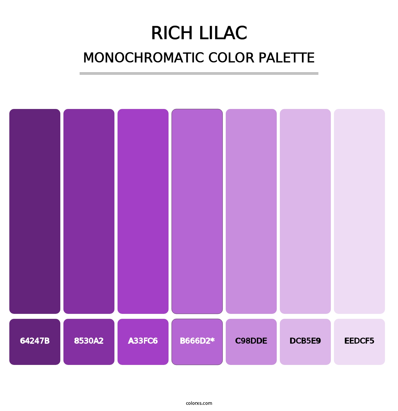 Rich Lilac - Monochromatic Color Palette