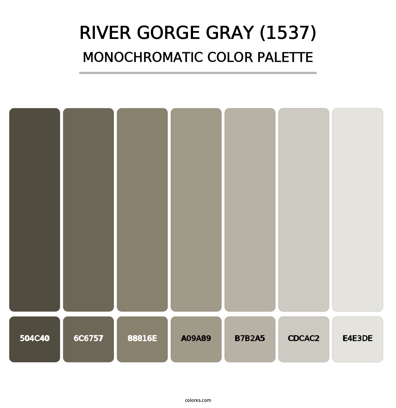 River Gorge Gray (1537) - Monochromatic Color Palette