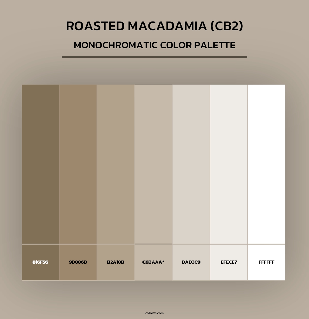 Roasted Macadamia (CB2) - Monochromatic Color Palette