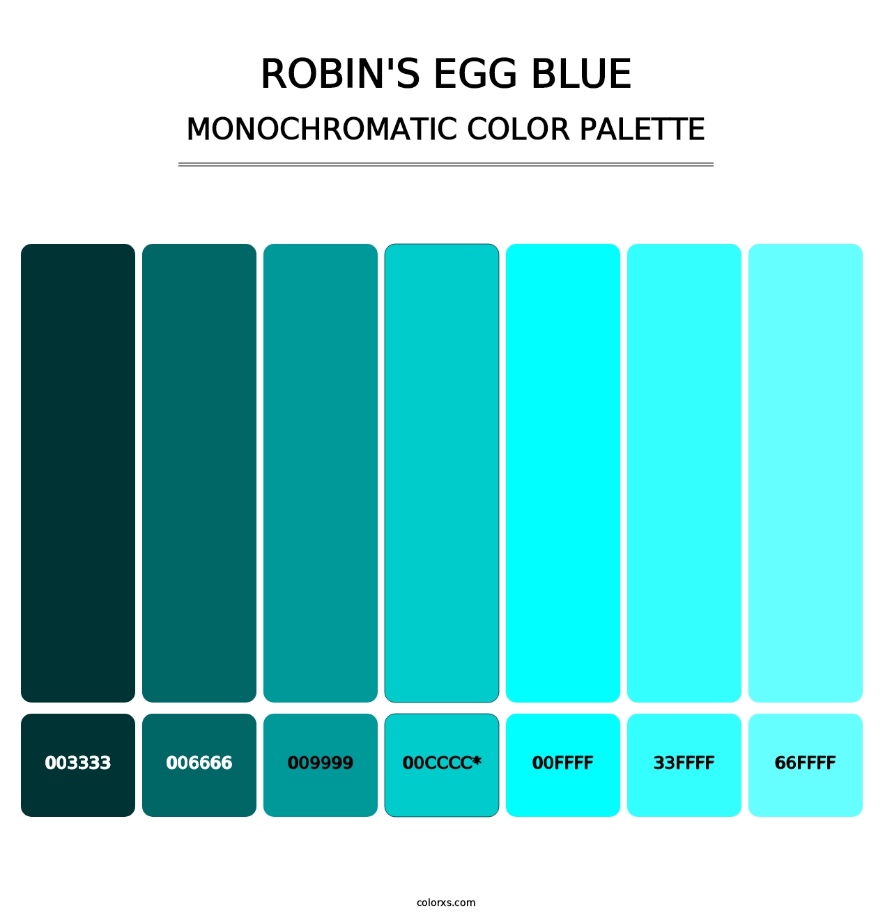 Robin's Egg Blue - Monochromatic Color Palette