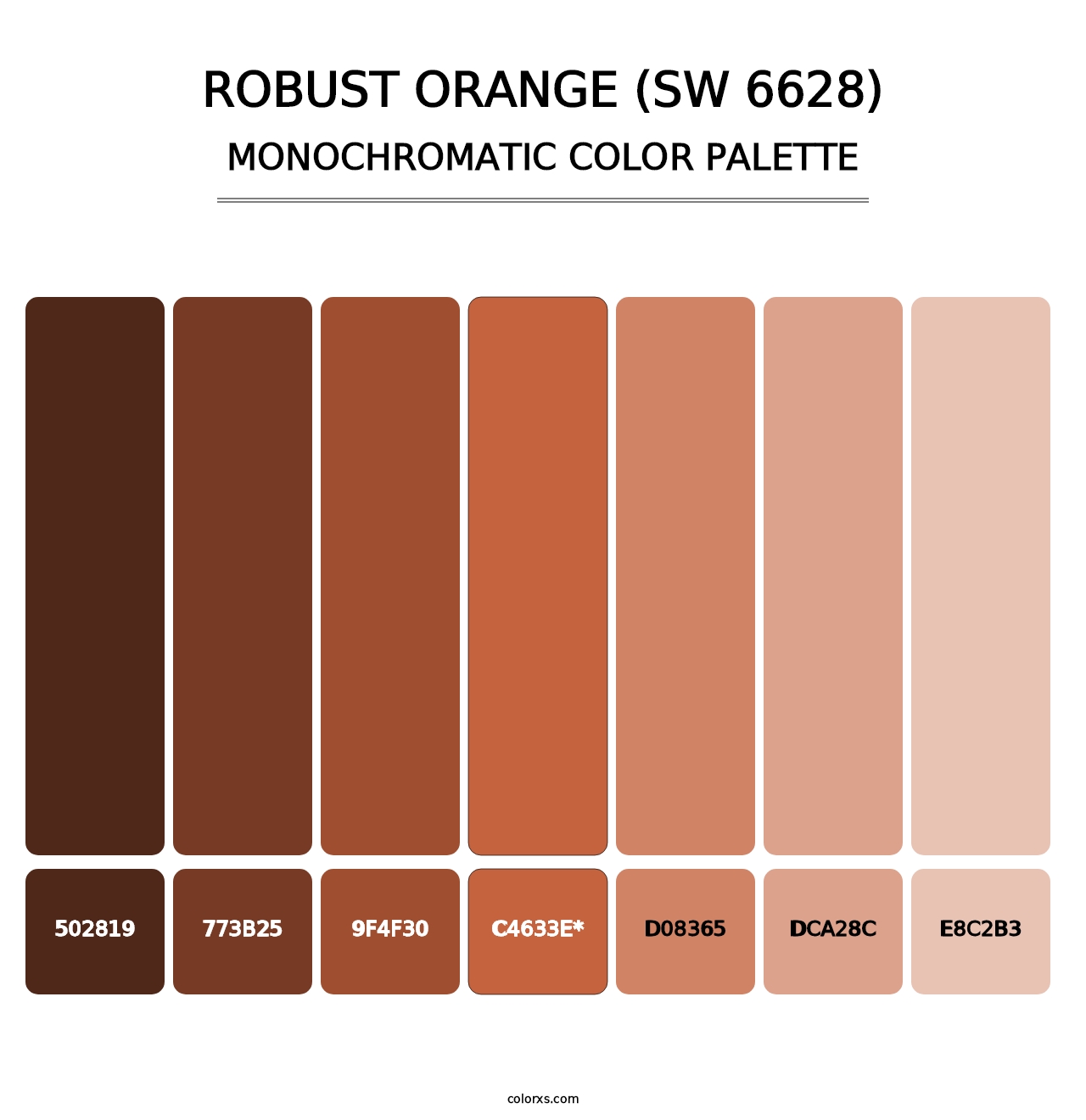Robust Orange (SW 6628) - Monochromatic Color Palette