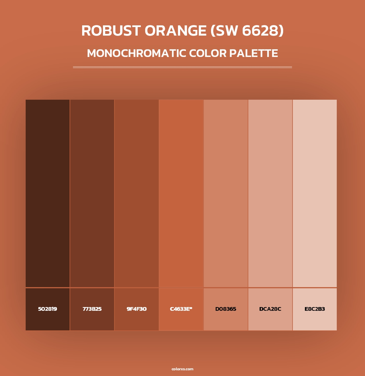 Robust Orange (SW 6628) - Monochromatic Color Palette