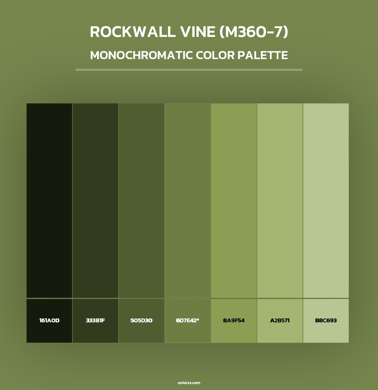 Rockwall Vine (M360-7) - Monochromatic Color Palette