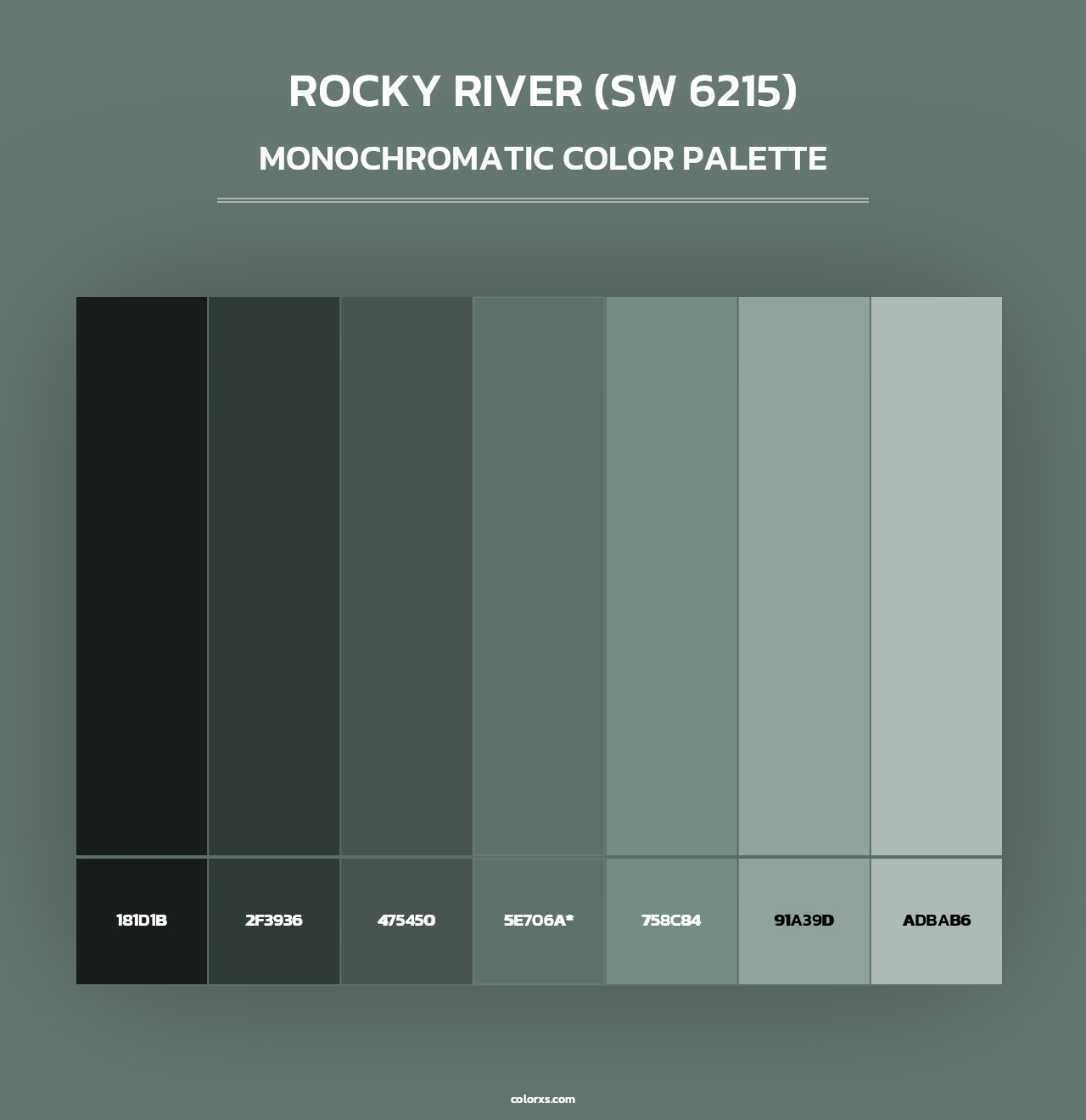 Rocky River (SW 6215) - Monochromatic Color Palette