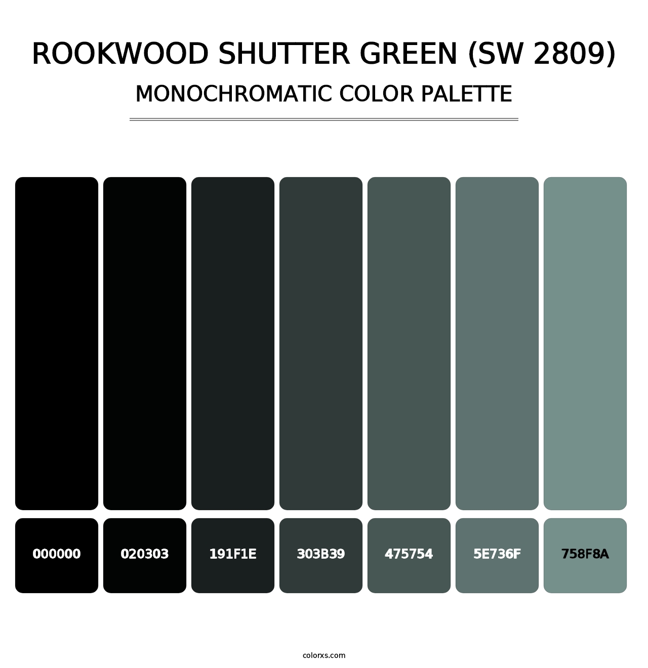 Rookwood Shutter Green (SW 2809) - Monochromatic Color Palette