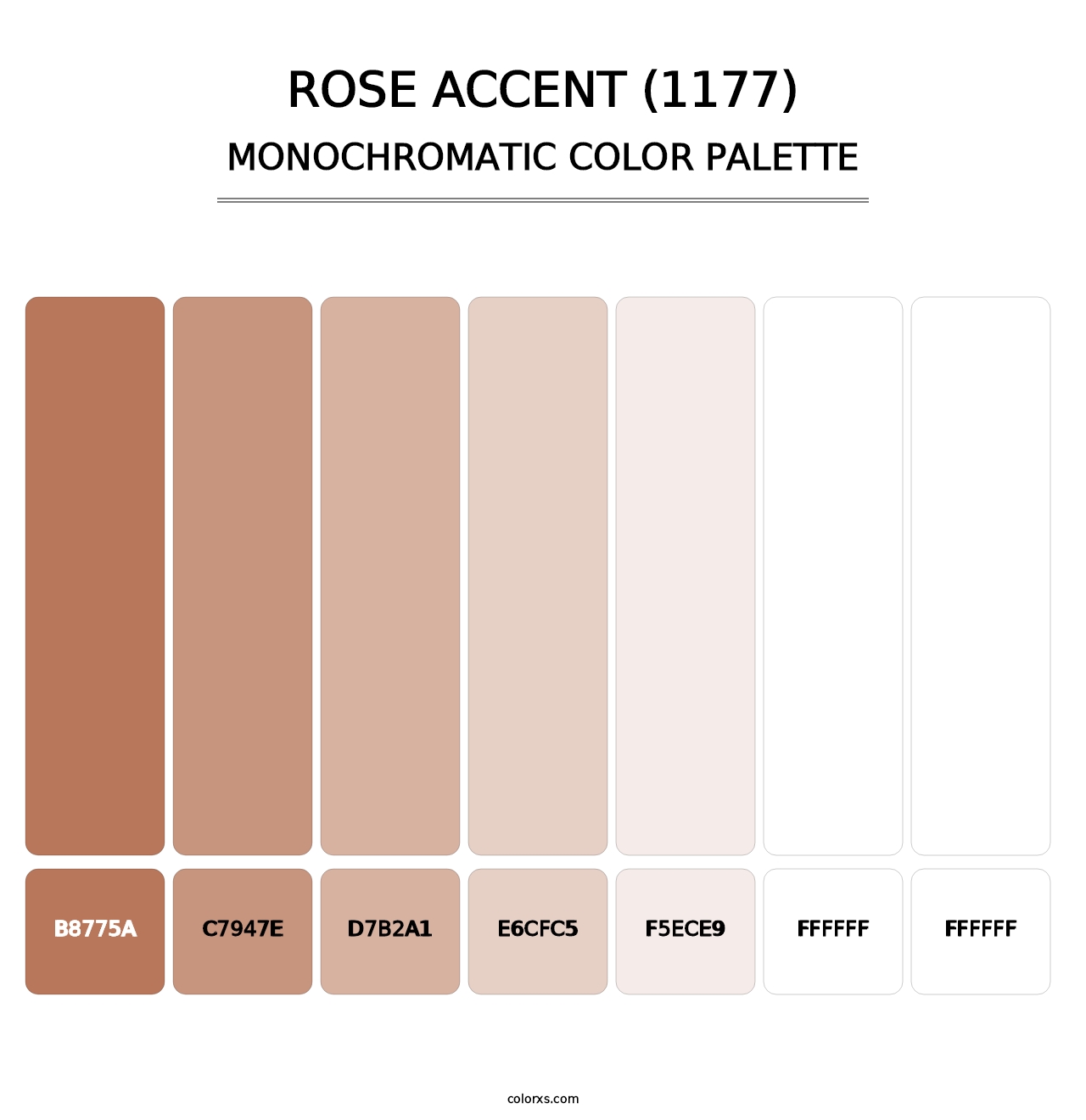 Rose Accent (1177) - Monochromatic Color Palette