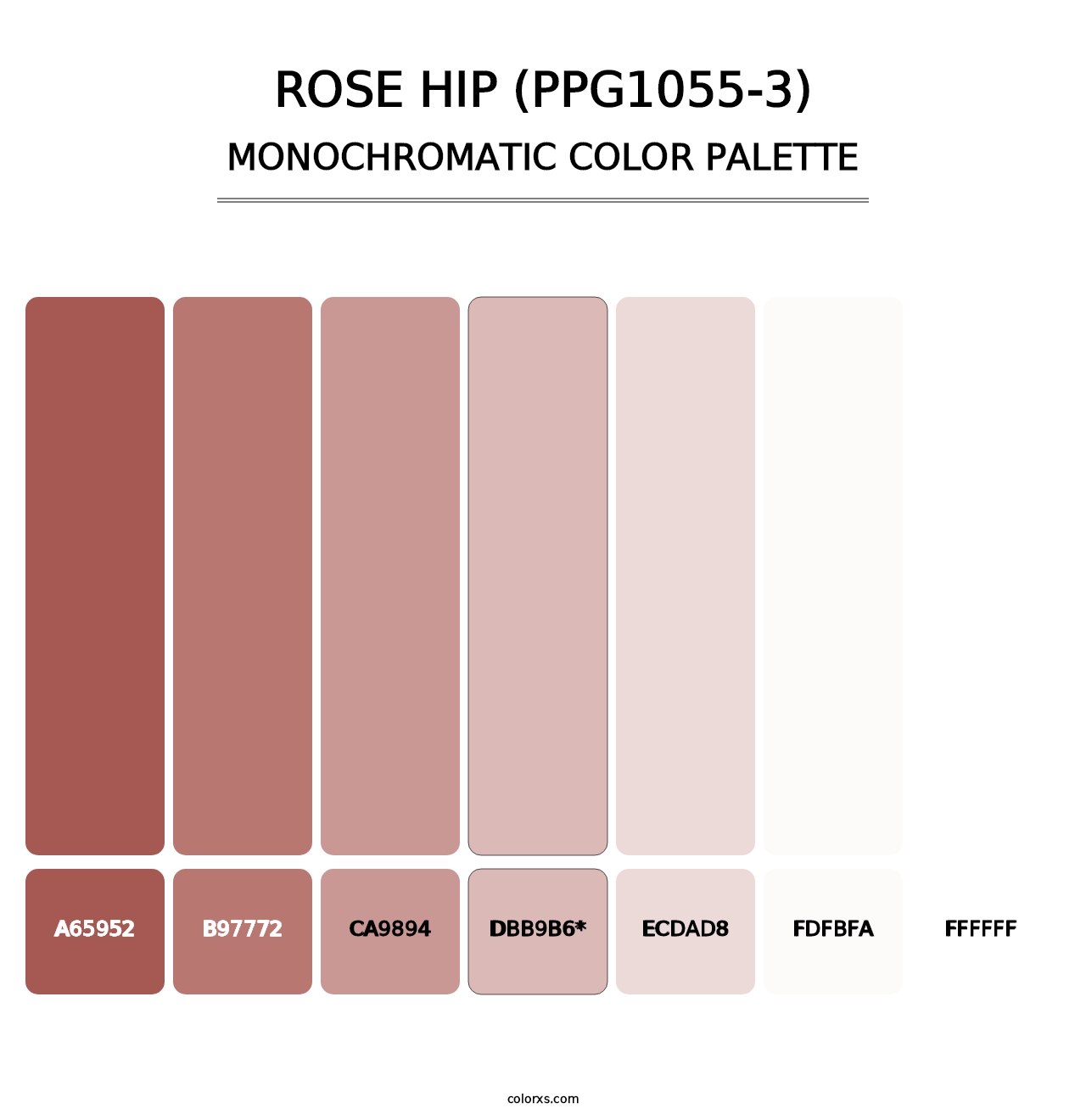 Rose Hip (PPG1055-3) - Monochromatic Color Palette