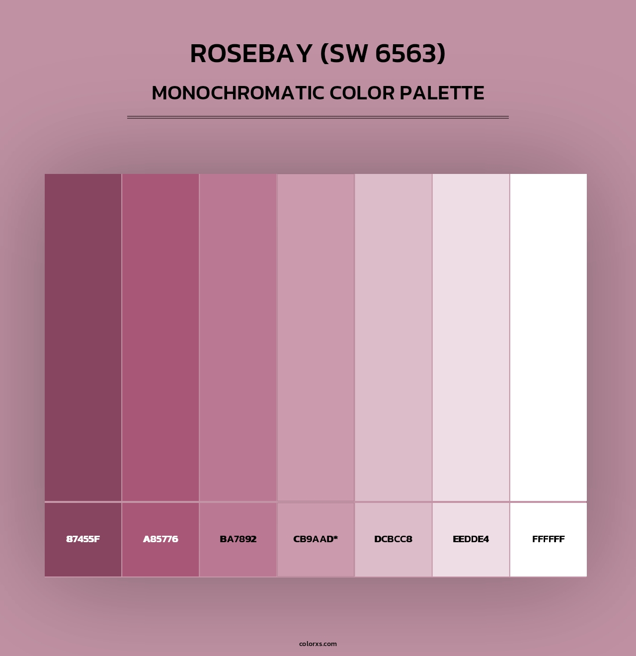 Rosebay (SW 6563) - Monochromatic Color Palette