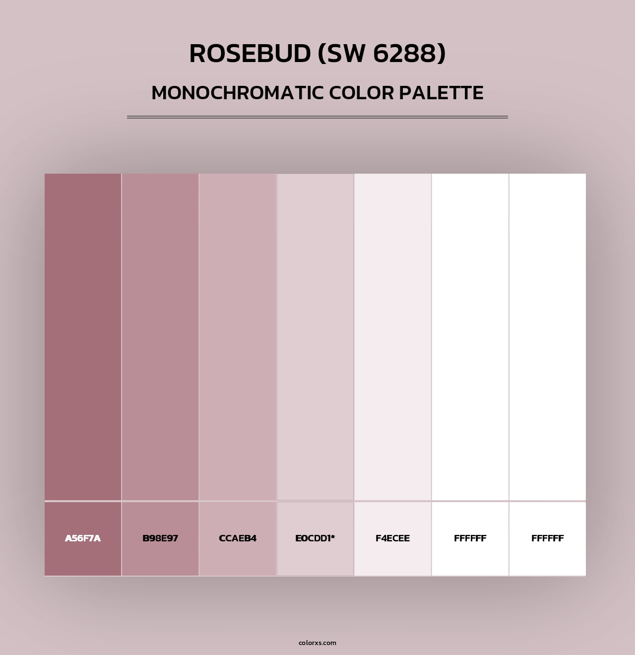 Rosebud (SW 6288) - Monochromatic Color Palette