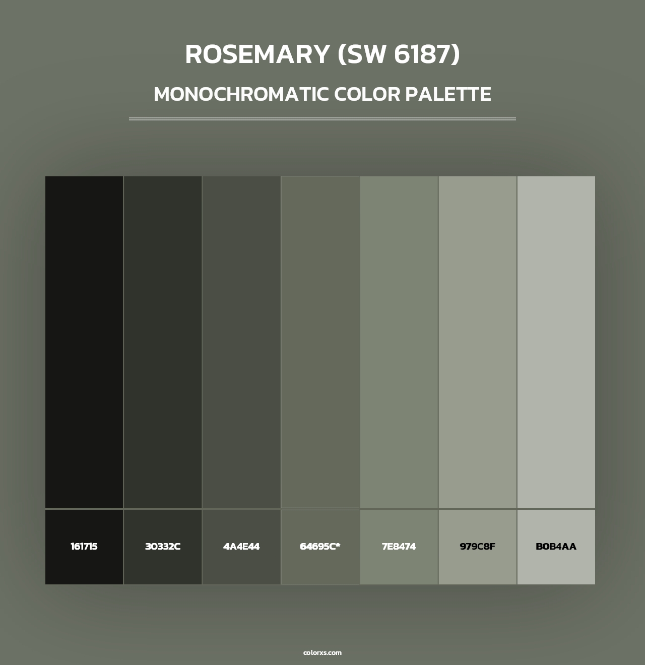 Rosemary (SW 6187) - Monochromatic Color Palette
