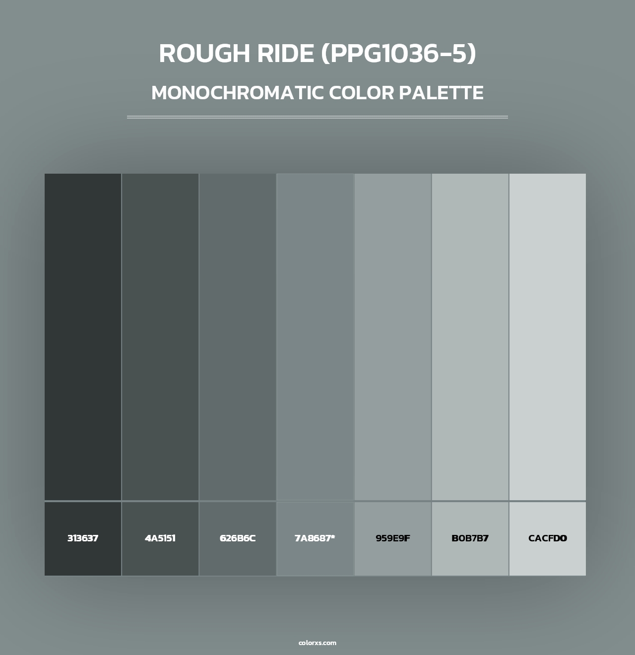 Rough Ride (PPG1036-5) - Monochromatic Color Palette