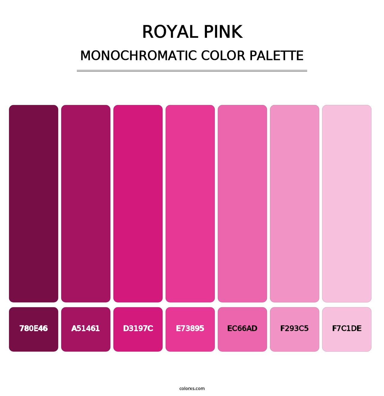 Royal Pink - Monochromatic Color Palette