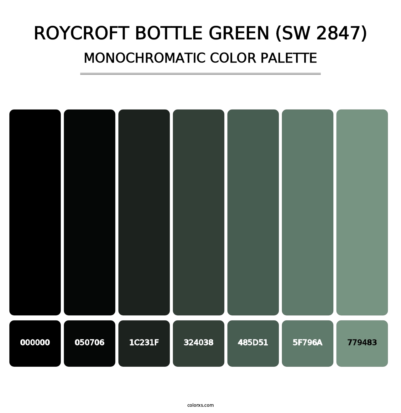 Roycroft Bottle Green (SW 2847) - Monochromatic Color Palette