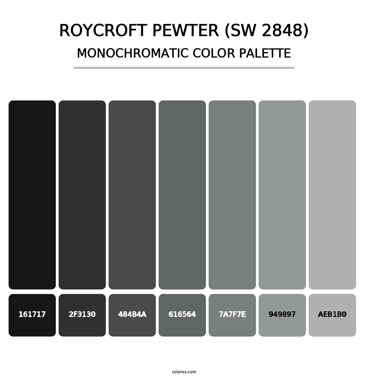 Roycroft Pewter (SW 2848) - Monochromatic Color Palette