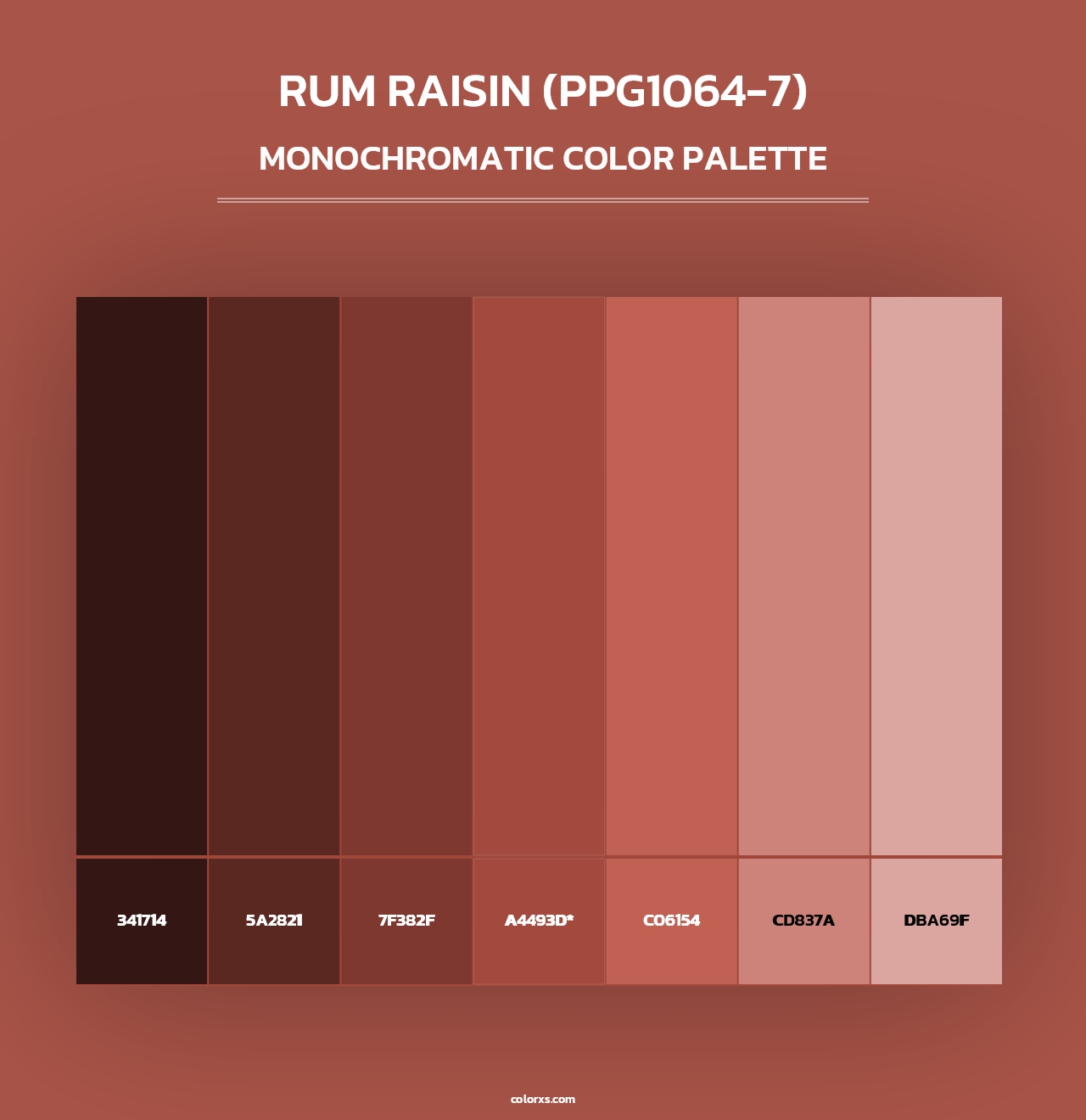 Rum Raisin (PPG1064-7) - Monochromatic Color Palette