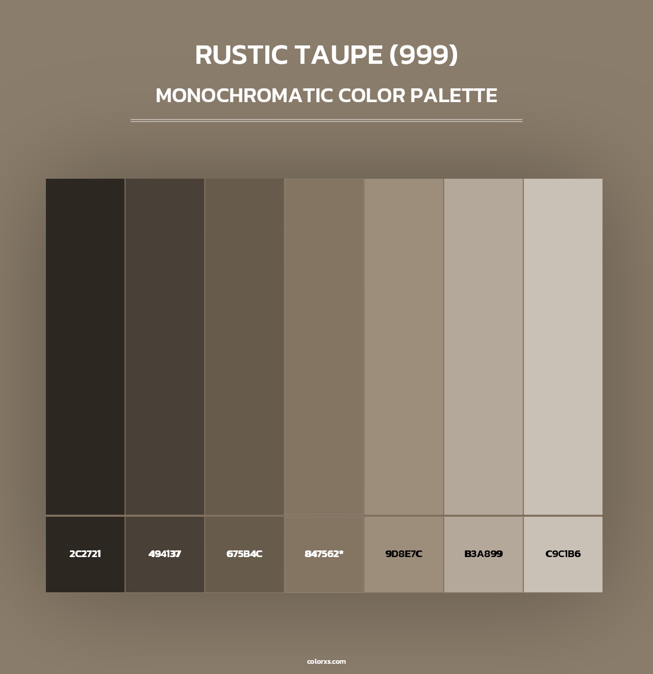 Rustic Taupe (999) - Monochromatic Color Palette
