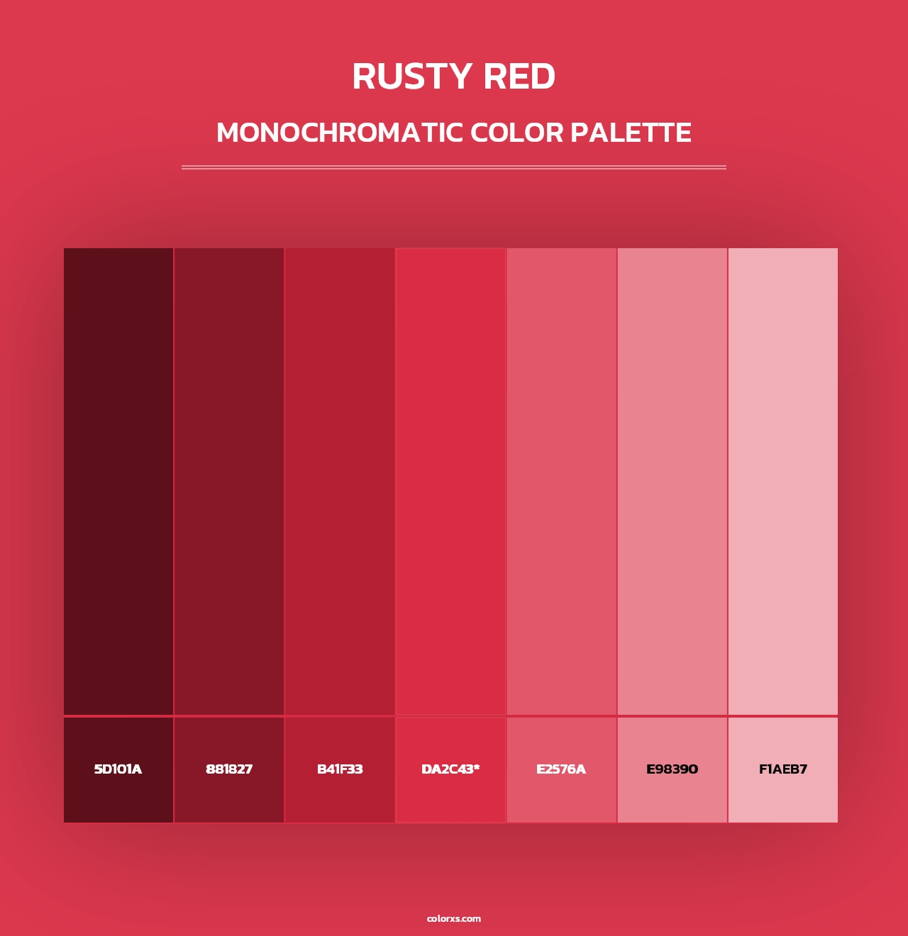 Rusty Red - Monochromatic Color Palette