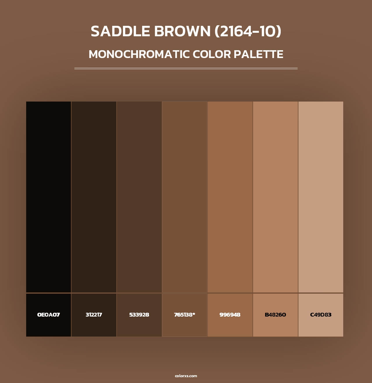 Saddle Brown (2164-10) - Monochromatic Color Palette