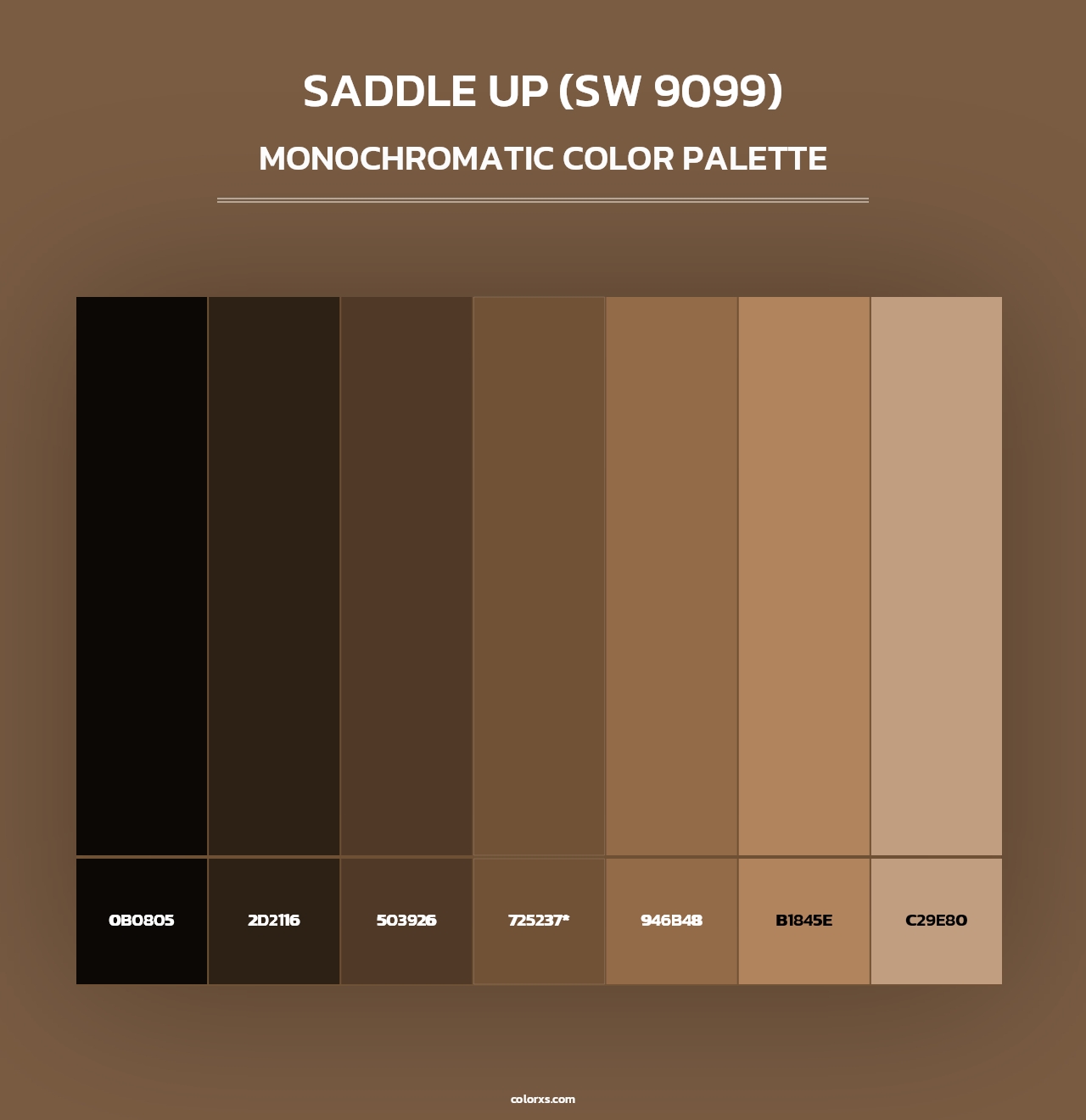 Saddle Up (SW 9099) - Monochromatic Color Palette