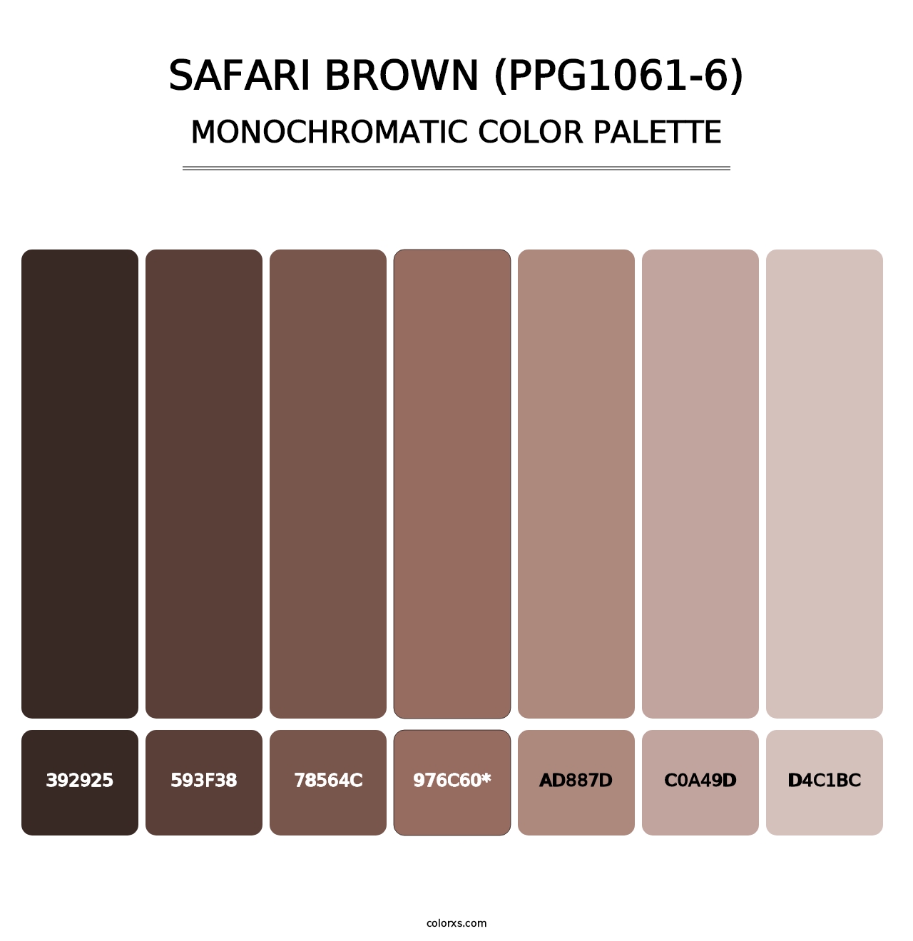 Safari Brown (PPG1061-6) - Monochromatic Color Palette