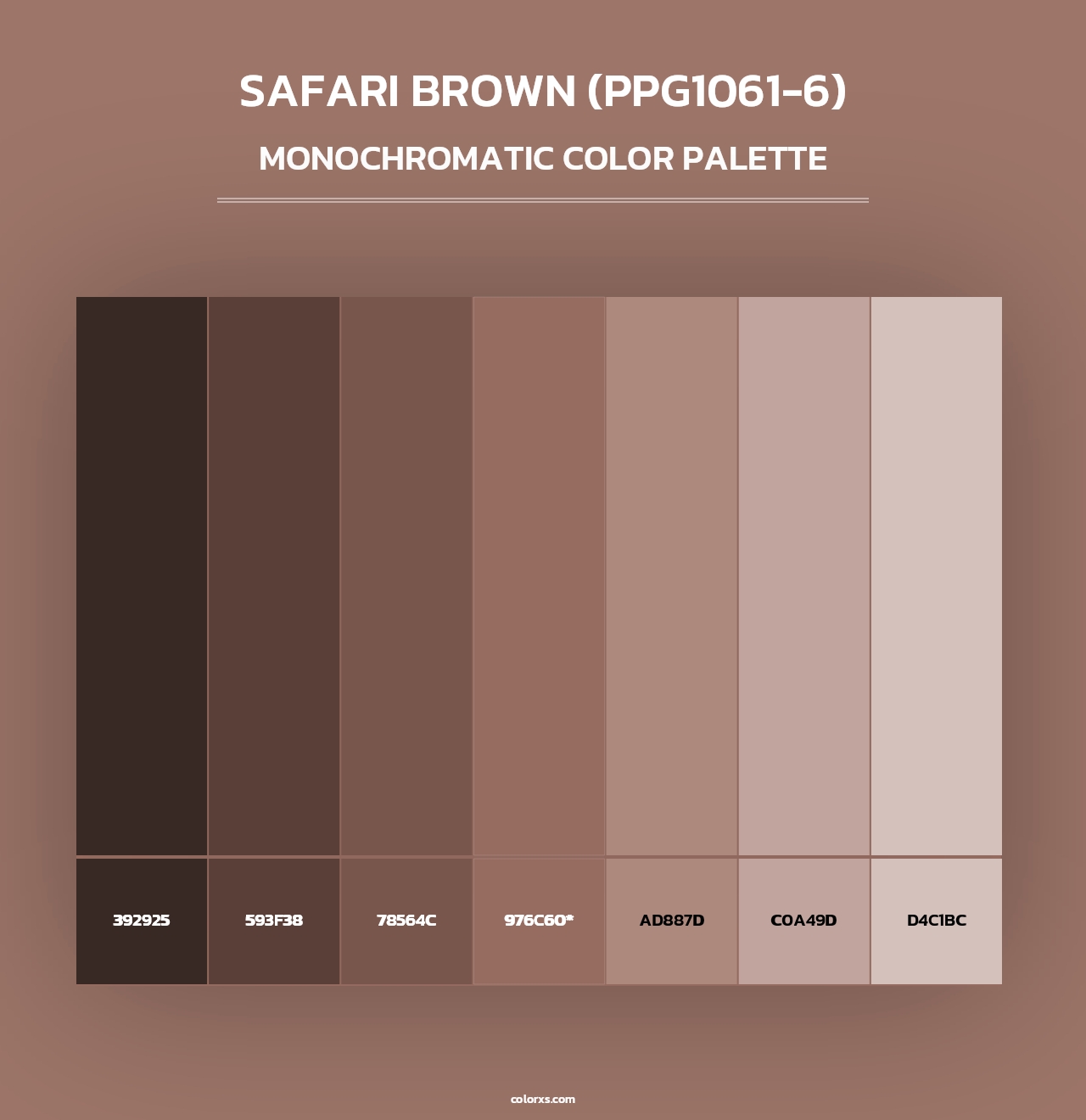 Safari Brown (PPG1061-6) - Monochromatic Color Palette
