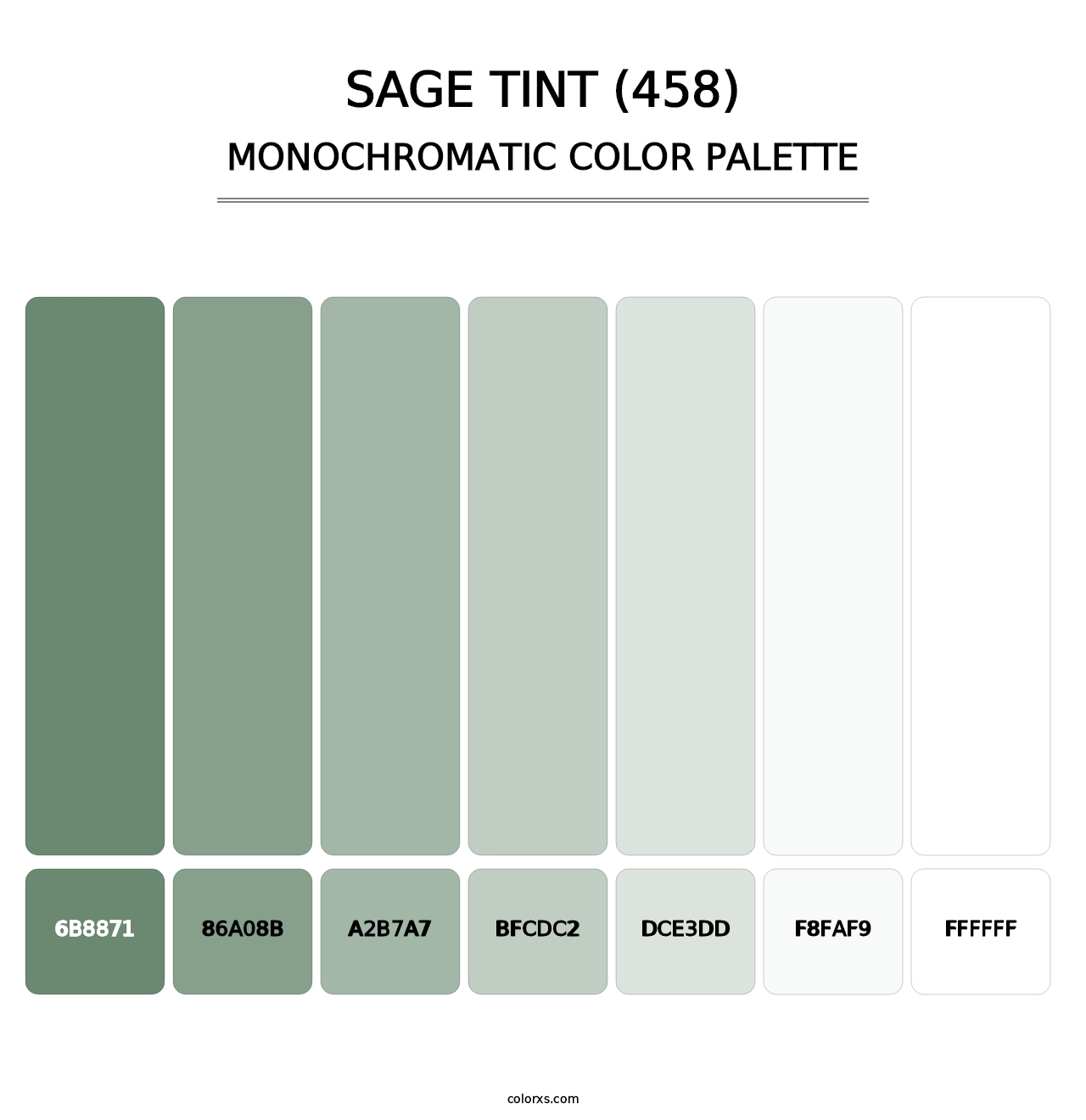 Sage Tint (458) - Monochromatic Color Palette