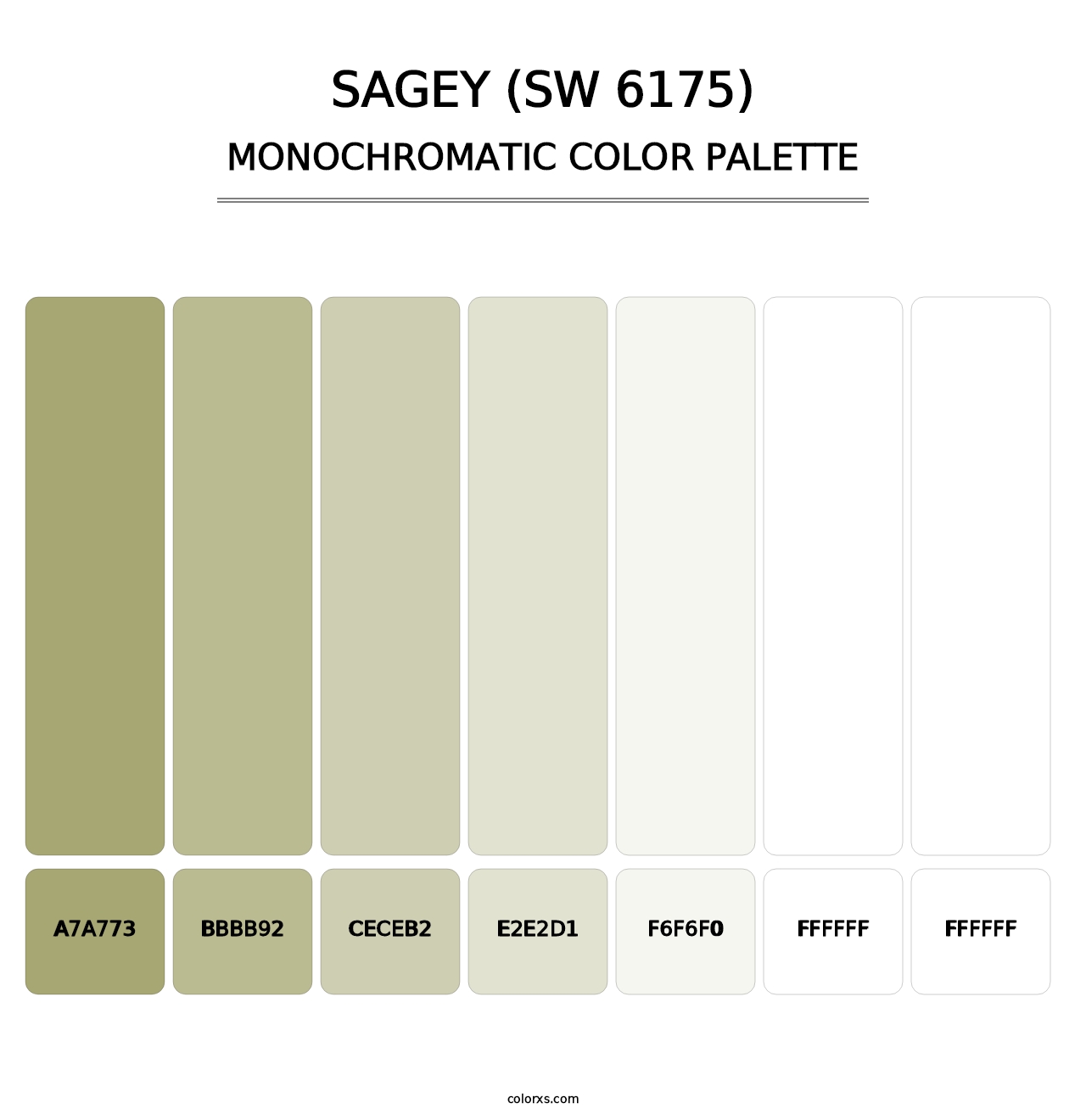 Sagey (SW 6175) - Monochromatic Color Palette