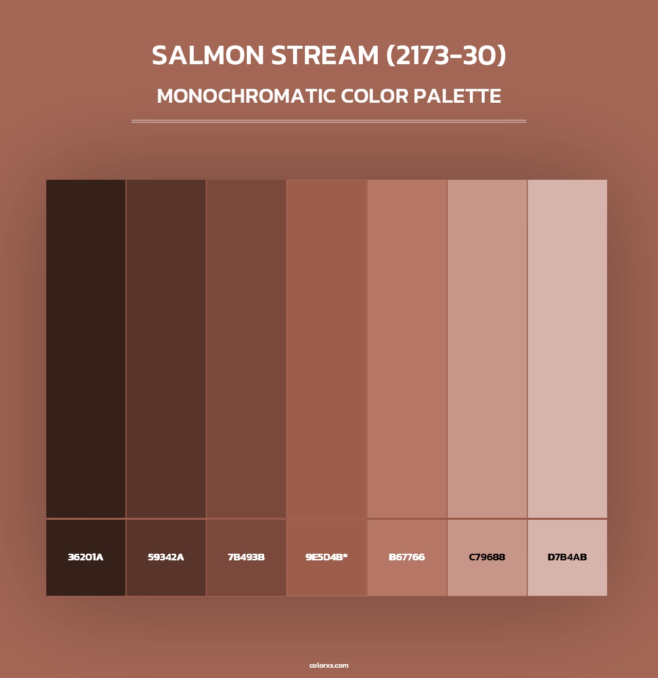 Salmon Stream (2173-30) - Monochromatic Color Palette