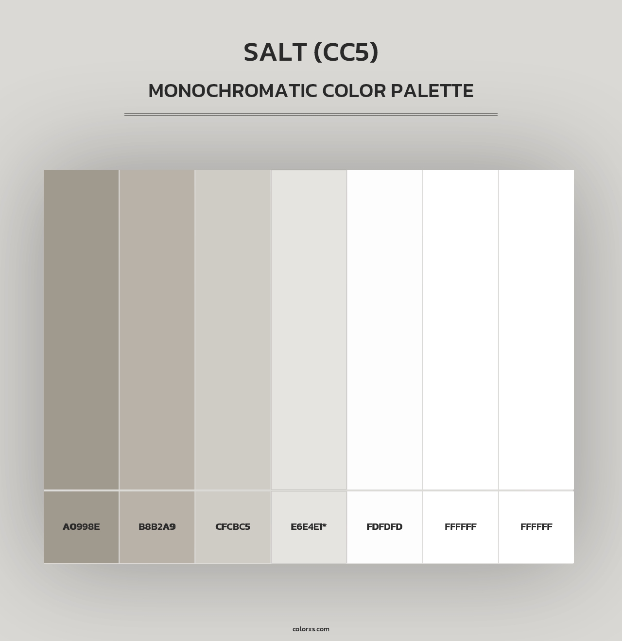 Salt (CC5) - Monochromatic Color Palette