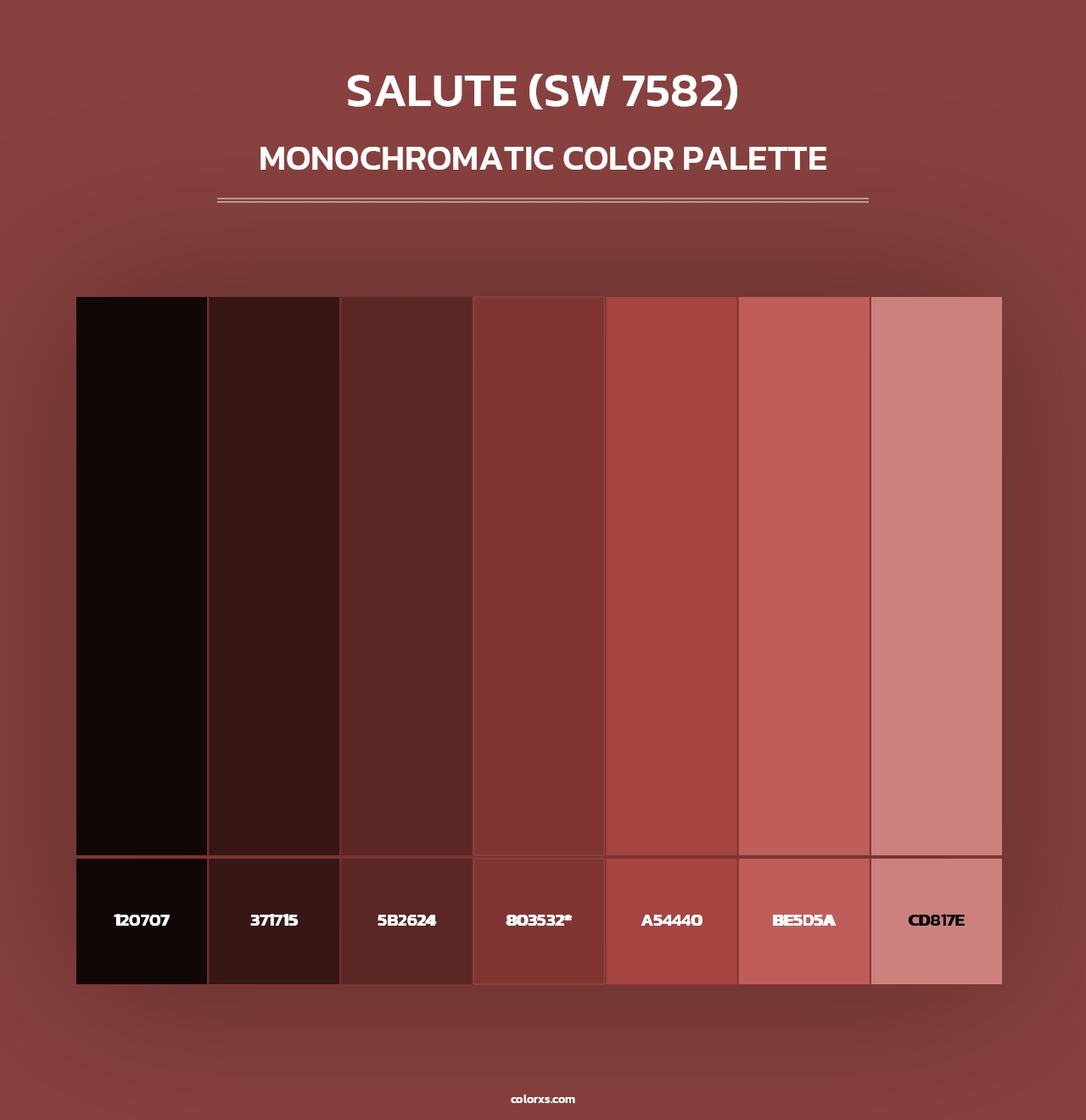 Salute (SW 7582) - Monochromatic Color Palette