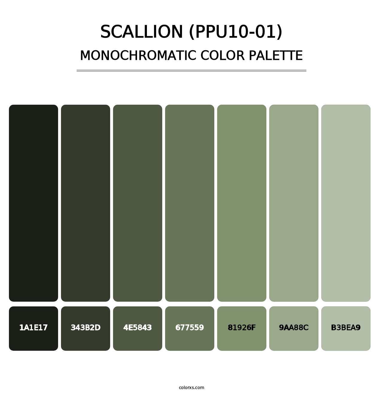 Scallion (PPU10-01) - Monochromatic Color Palette