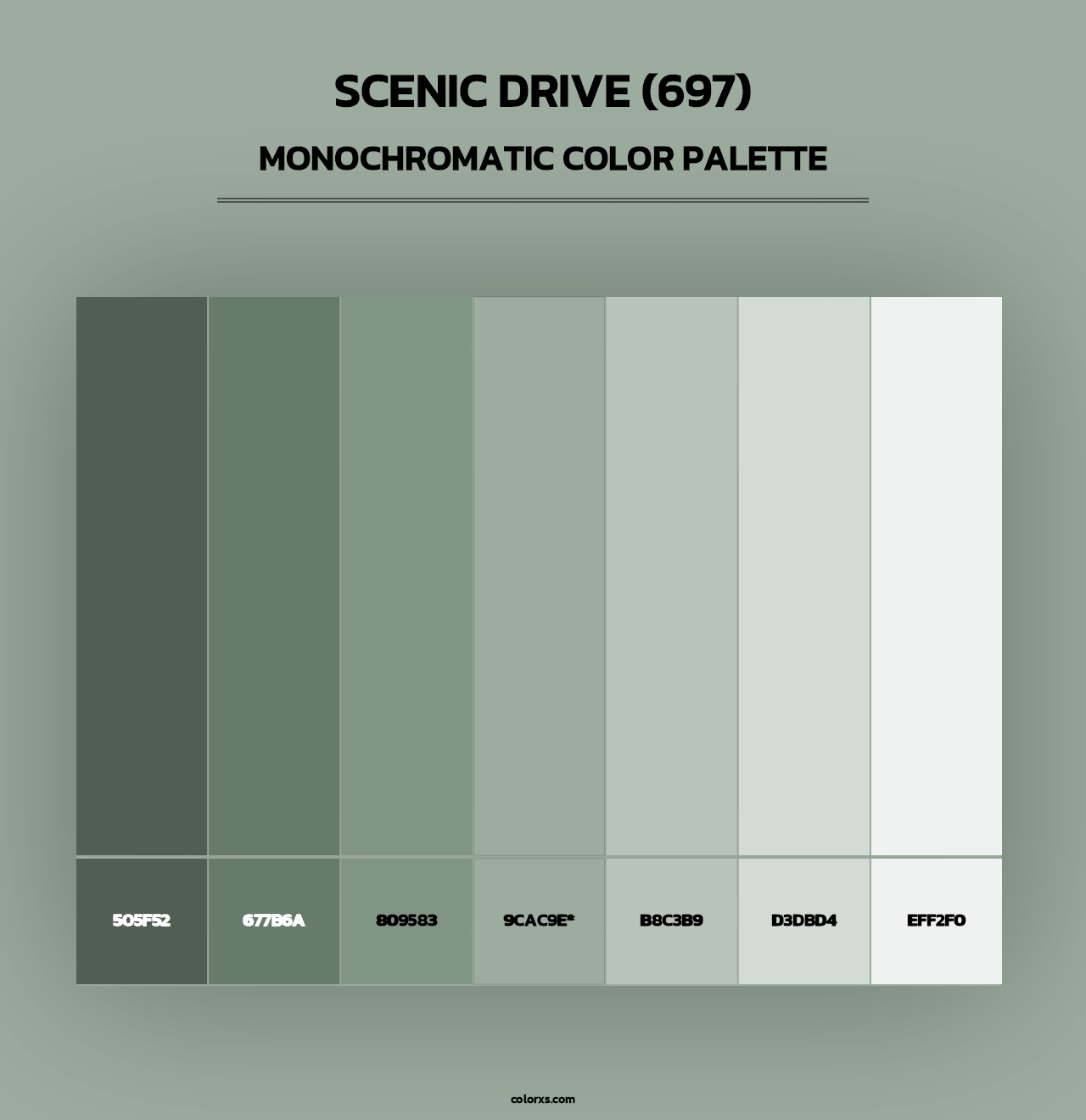 Scenic Drive (697) - Monochromatic Color Palette