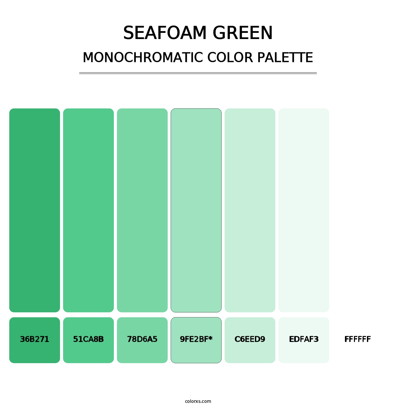 Seafoam Green - Monochromatic Color Palette