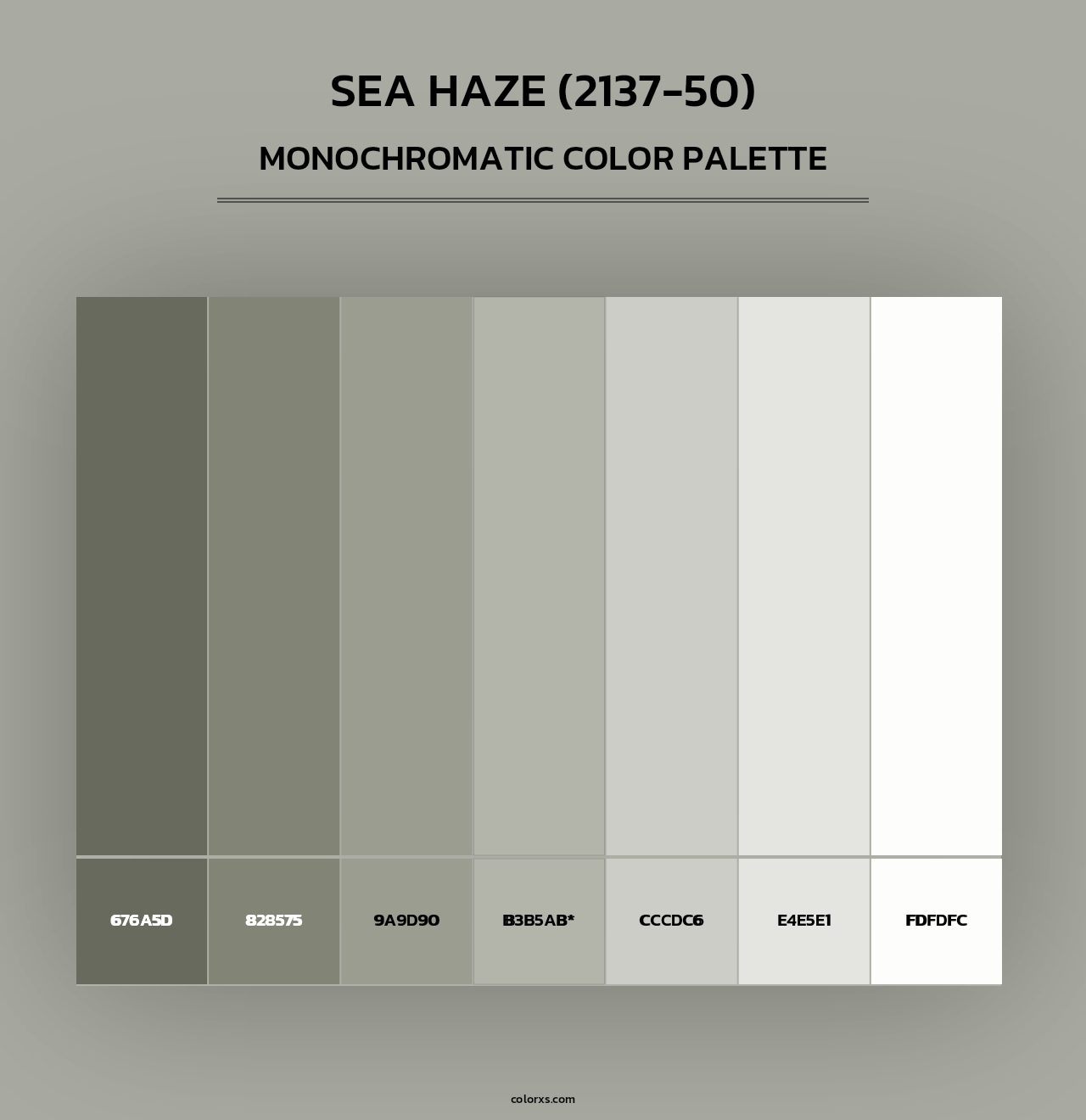 Sea Haze (2137-50) - Monochromatic Color Palette