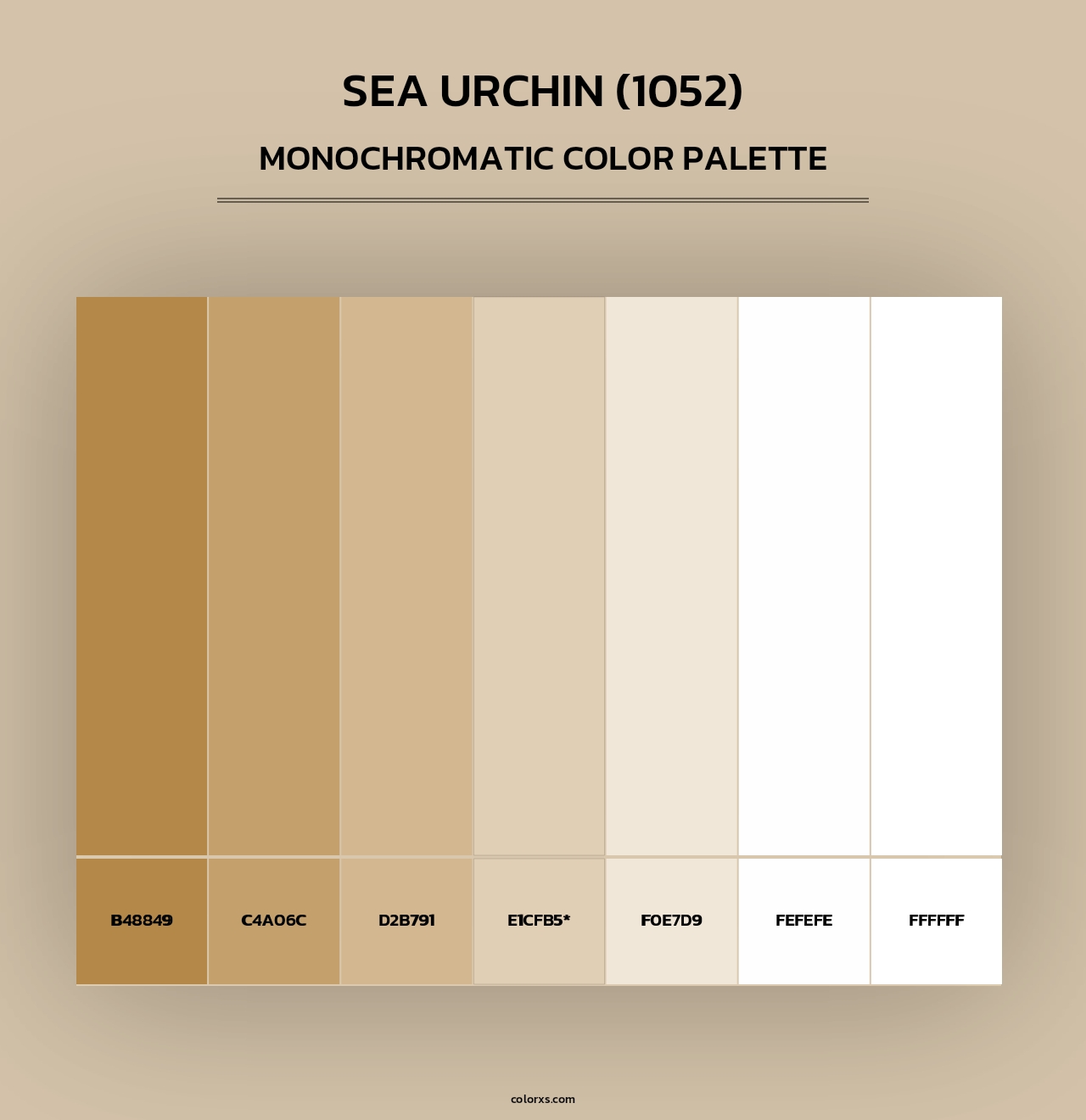 Sea Urchin (1052) - Monochromatic Color Palette
