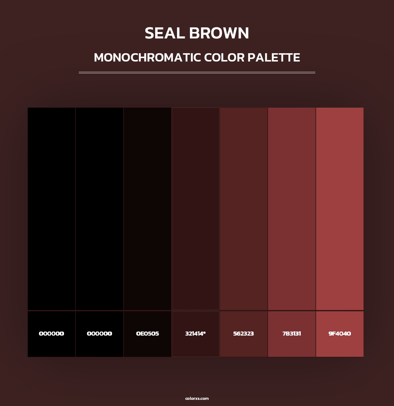 Seal brown - Monochromatic Color Palette